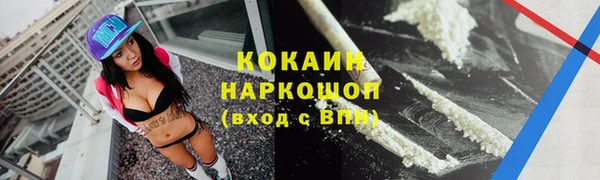 гашик Гусев
