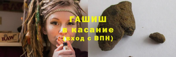 гашик Гусев