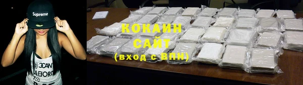 гашик Гусев
