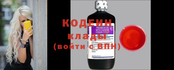 гашик Гусев