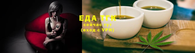 гашик Гусев
