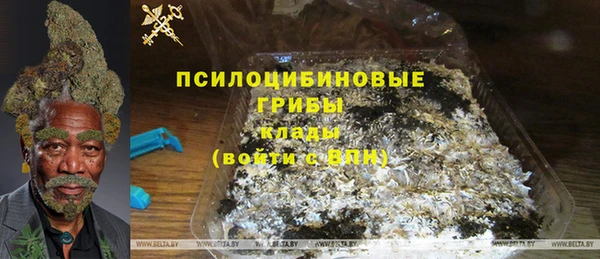 гашик Гусев