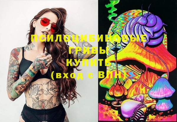2c-b Гусь-Хрустальный