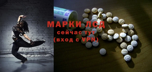 гашик Гусев
