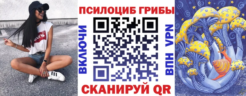 купить наркотики сайты  Шилка  Галлюциногенные грибы Psilocybe 